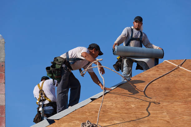 Quick and Trustworthy Emergency Roof Repair Services in Central Heights Midland City, AZ